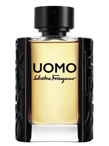 Ferragamo Uomo Eau de Toilette 100ml - Acque Profumeria