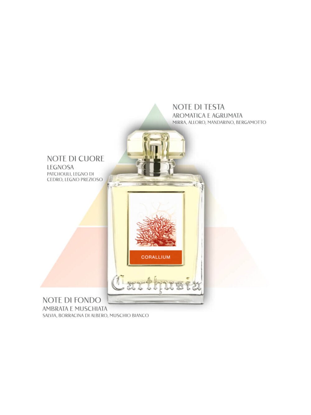 Carthusia Corallium Eau de Parfum 100 ml – Profumo Donna Floreale Marina Elegante - Acque Profumeria